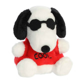 Joe Cool